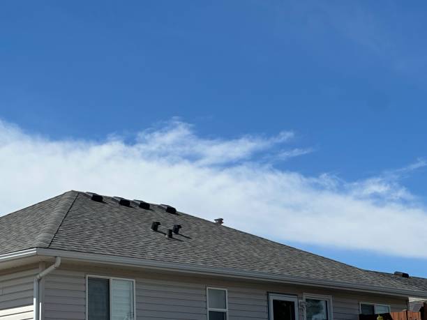 Best Rubber Roofing (EPDM, TPO)  in Exandria, AL